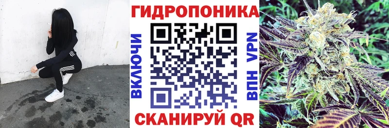 Бошки марихуана план Перевоз